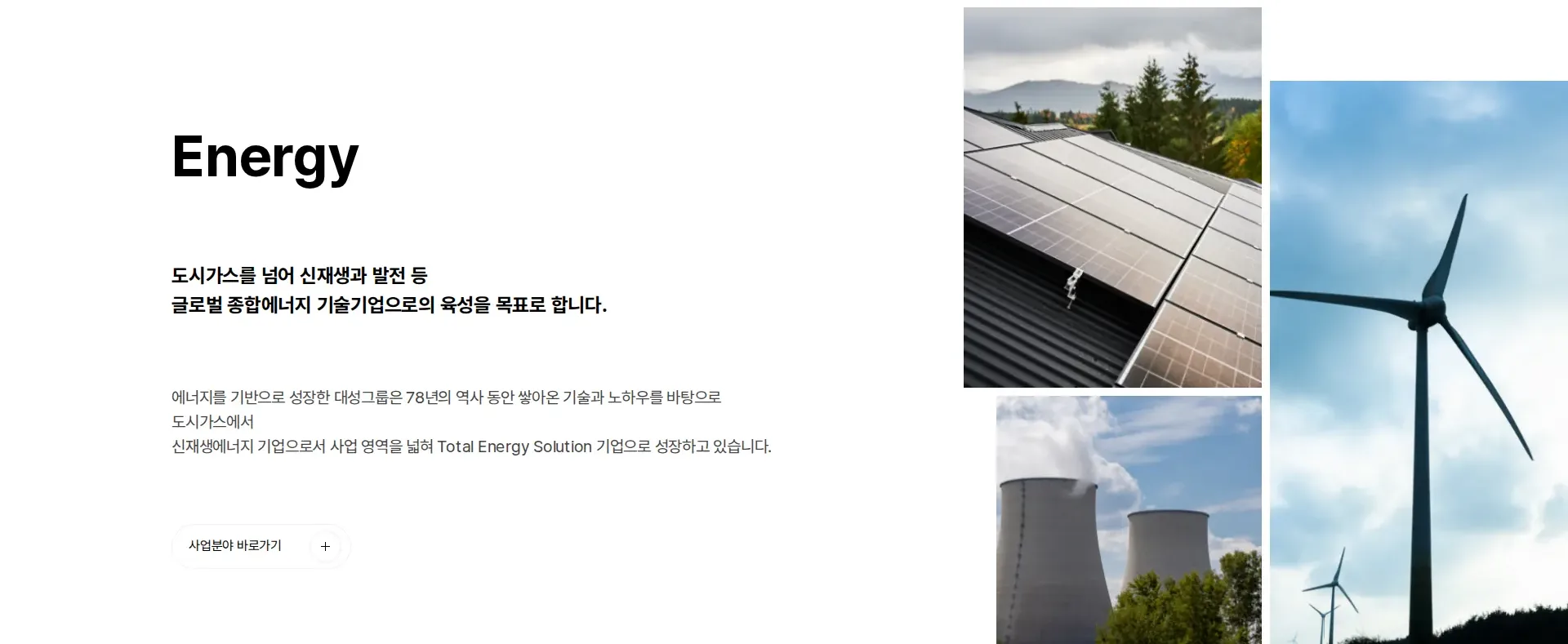 대성그룹 회사 소개 섹션