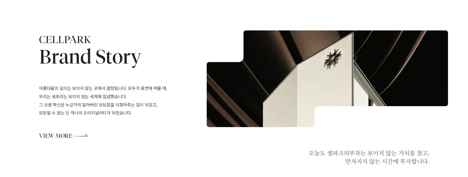 셀파크피부과 회사 소개 섹션